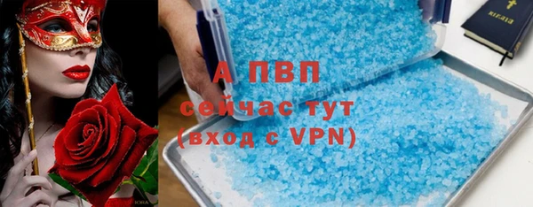 сатива Армянск